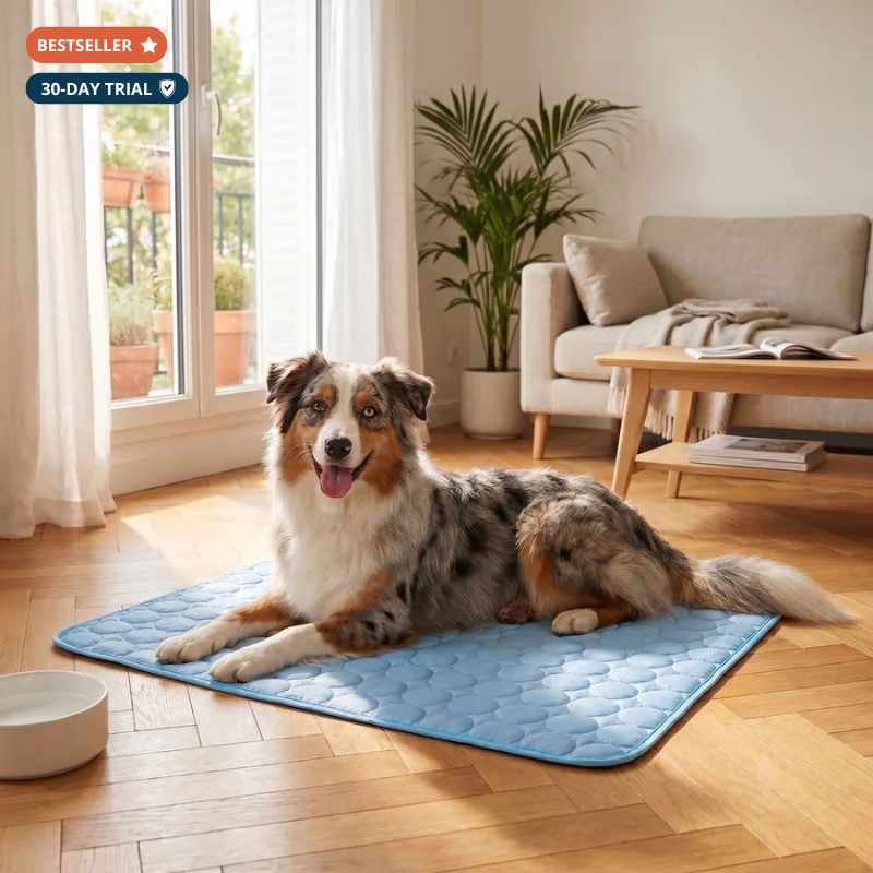 Dog Cooling Mat - Gel-Free & Self-Cooling