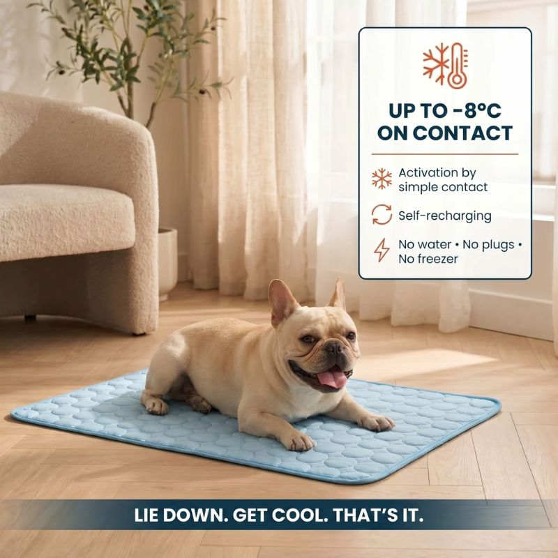 Dog Cooling Mat - Gel-Free & Self-Cooling