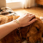 Personalised Paw Bracelet - Engraved With Their Name