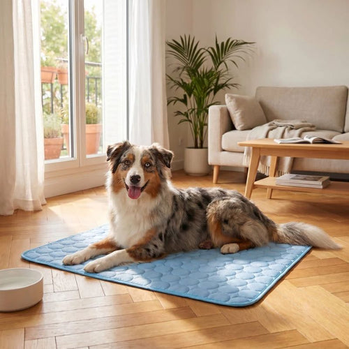 Australian Shepherd resting on a blue gel-free dog cooling mat indoors